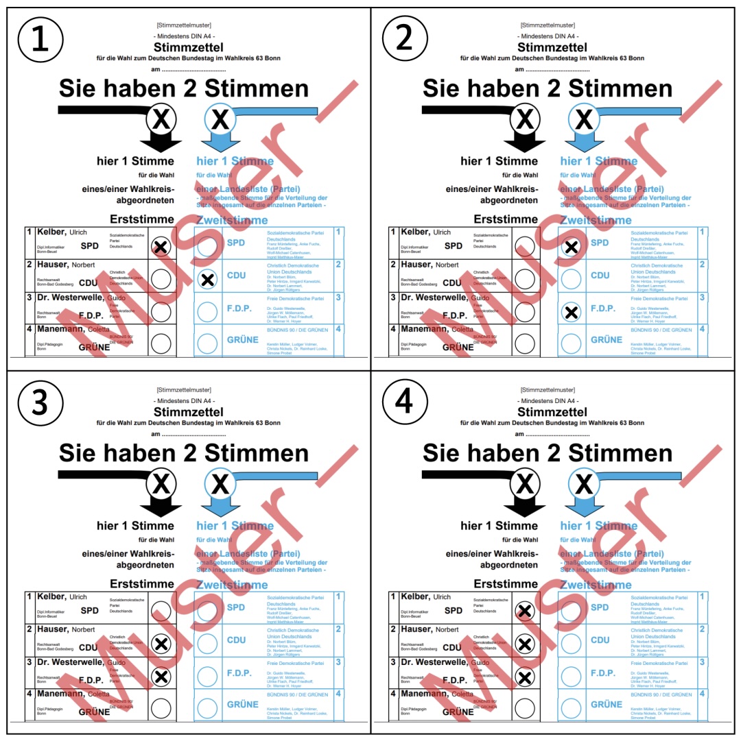 Which ballot paper would be valid in a federal election?